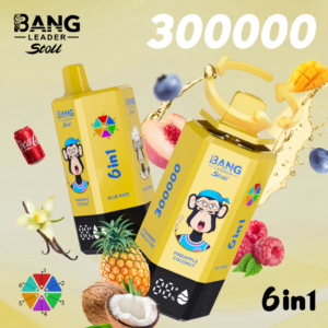 Bang Leader stoll 300K Puffs 6V1