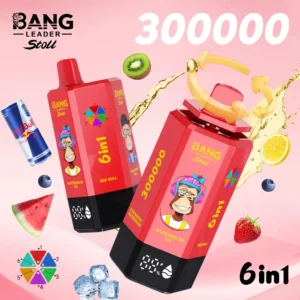 Alternative view of Bang Leader stoll 300K Puffs 6V1