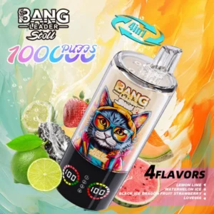 BANG Leader Stoll 100K Puffs 4v1