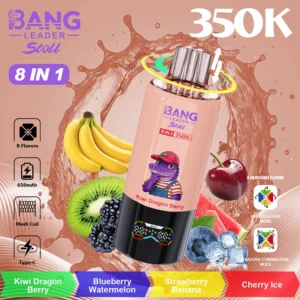 Alternative view of Bang Leader 350K Puffs 8V1